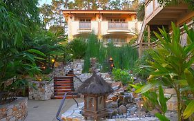 Tradewinds Carmel